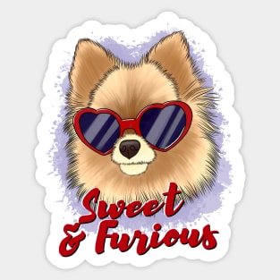 Cute pomeranian "sweet and furious" Sticker